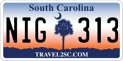 SC license plate NIG313