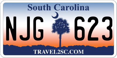 SC license plate NJG623