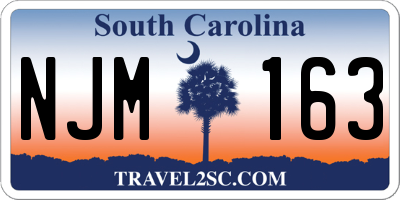 SC license plate NJM163