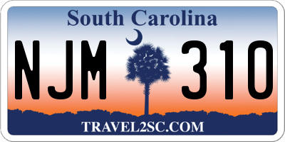 SC license plate NJM310