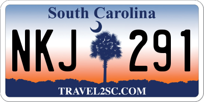 SC license plate NKJ291