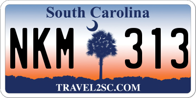SC license plate NKM313