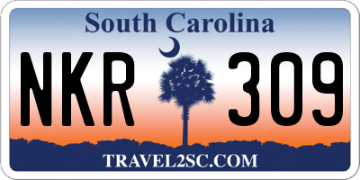 SC license plate NKR309
