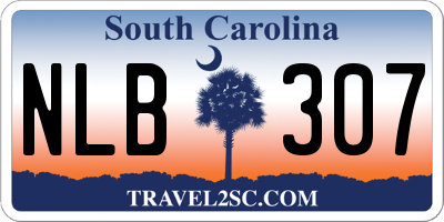 SC license plate NLB307