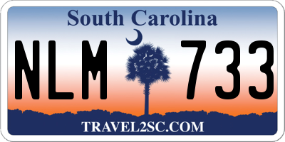 SC license plate NLM733