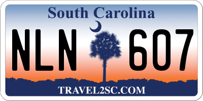 SC license plate NLN607