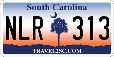 SC license plate NLR313