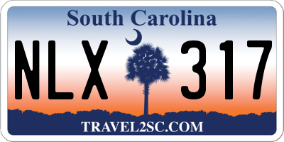 SC license plate NLX317
