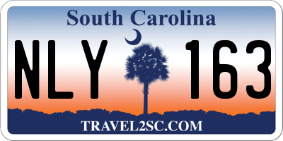 SC license plate NLY163