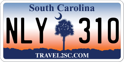 SC license plate NLY310