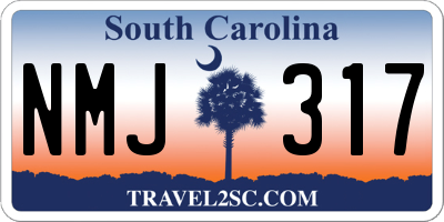 SC license plate NMJ317