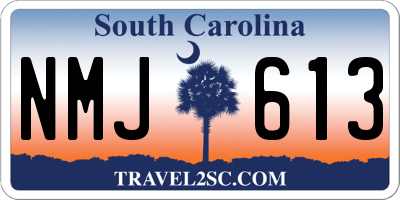 SC license plate NMJ613