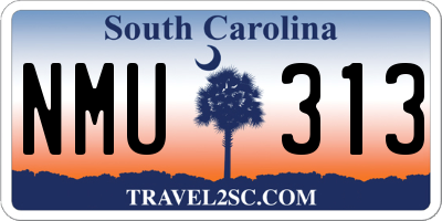 SC license plate NMU313