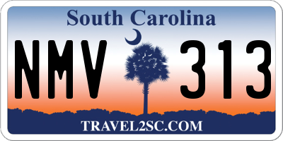 SC license plate NMV313