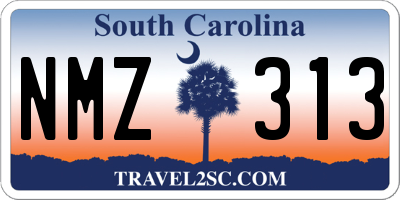 SC license plate NMZ313