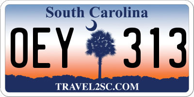 SC license plate OEY313