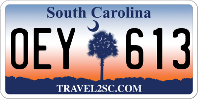 SC license plate OEY613