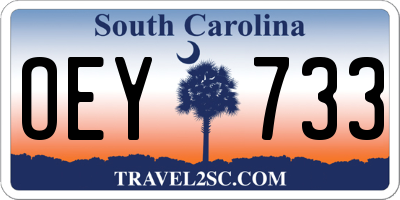 SC license plate OEY733