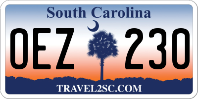 SC license plate OEZ230