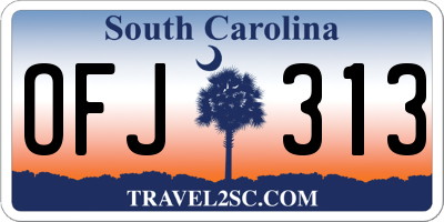 SC license plate OFJ313