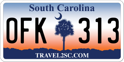 SC license plate OFK313