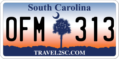 SC license plate OFM313