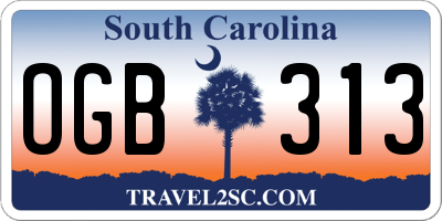 SC license plate OGB313