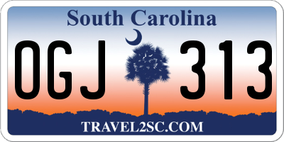 SC license plate OGJ313
