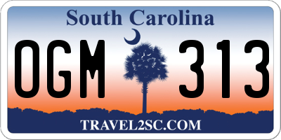 SC license plate OGM313