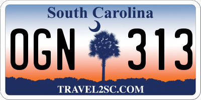 SC license plate OGN313