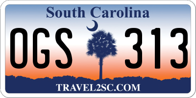 SC license plate OGS313