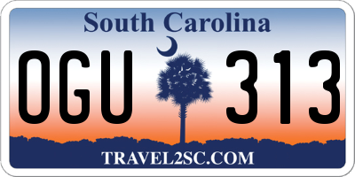 SC license plate OGU313