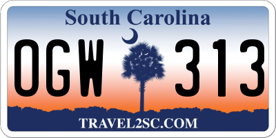 SC license plate OGW313