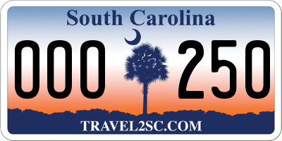 SC license plate OOO250