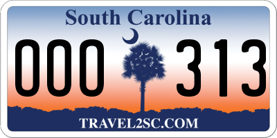 SC license plate OOO313