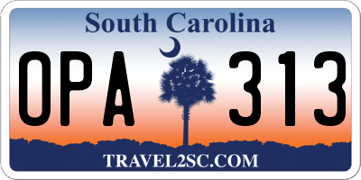 SC license plate OPA313