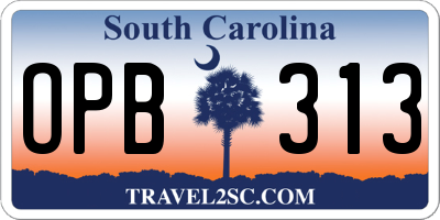 SC license plate OPB313