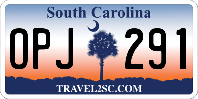 SC license plate OPJ291