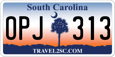 SC license plate OPJ313
