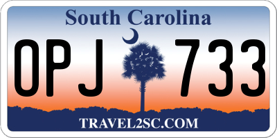 SC license plate OPJ733