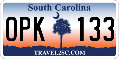 SC license plate OPK133
