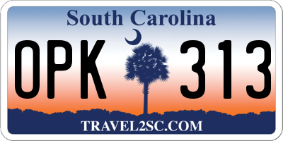 SC license plate OPK313