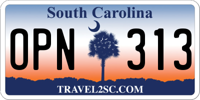 SC license plate OPN313