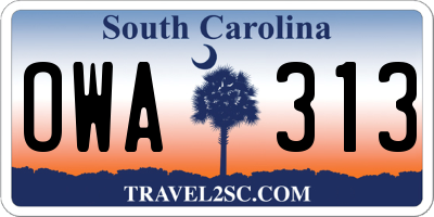 SC license plate OWA313