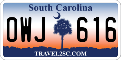 SC license plate OWJ616