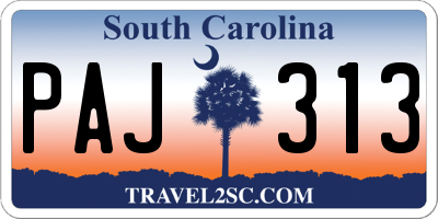 SC license plate PAJ313