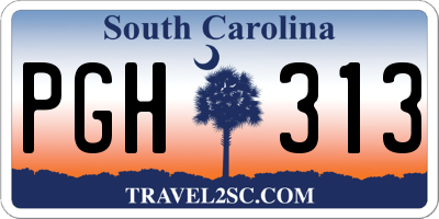 SC license plate PGH313