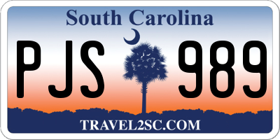 SC license plate PJS989