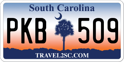 SC license plate PKB509