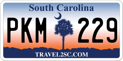 SC license plate PKM229